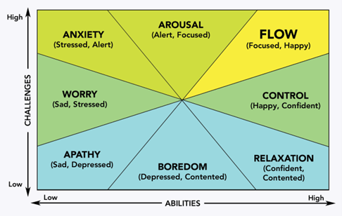 Flow map, depicts axes of abilities and challenges.